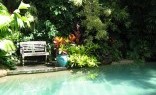 Landscaping Solutions Swimming Pool Landscaping